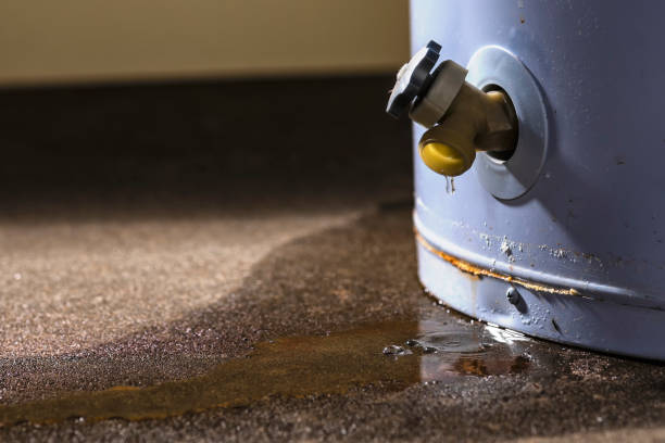 Best Flood damage cleanup  in Redstone Arsen, AL