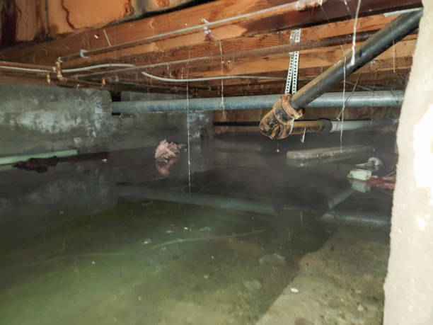 Best 24-hour water damage restoration  in Redstone Arsen, AL