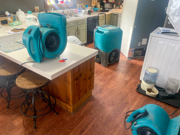 Reliable Redstone Arsenal, AL Water damage restoration Solutions
