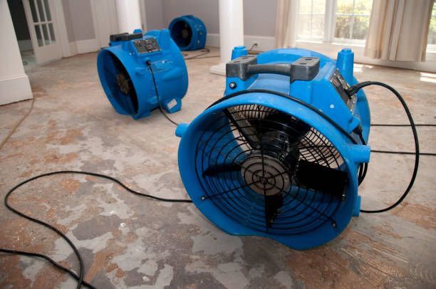 Best Water damage restoration insurance claims  in Redstone Arsen, AL