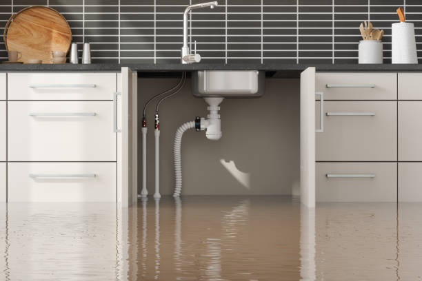 Best Residential water damage restoration  in Redstone Arsen, AL