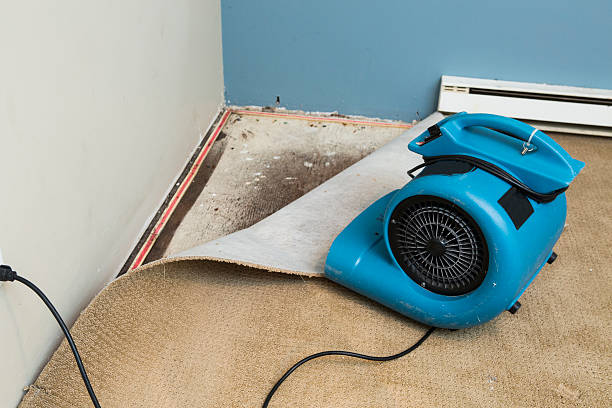 Best Water damage restoration cost  in Redstone Arsen, AL